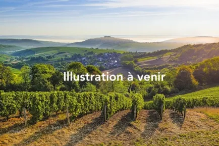 Site de mariage